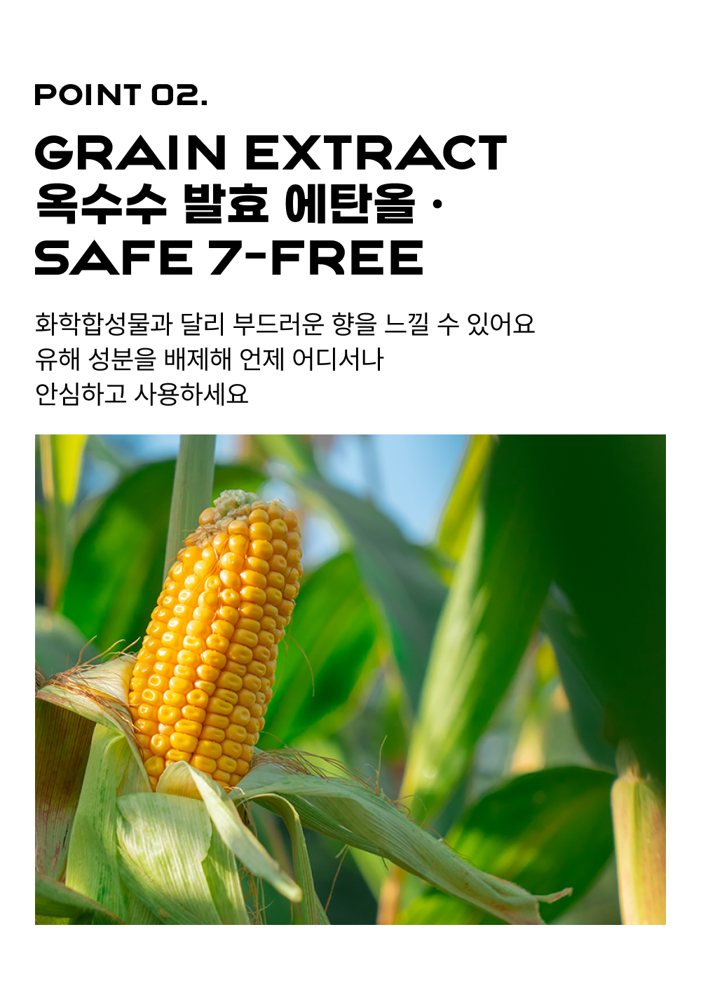 귤메달 X 센틀리에 시트러스 블라썸 기획세트
