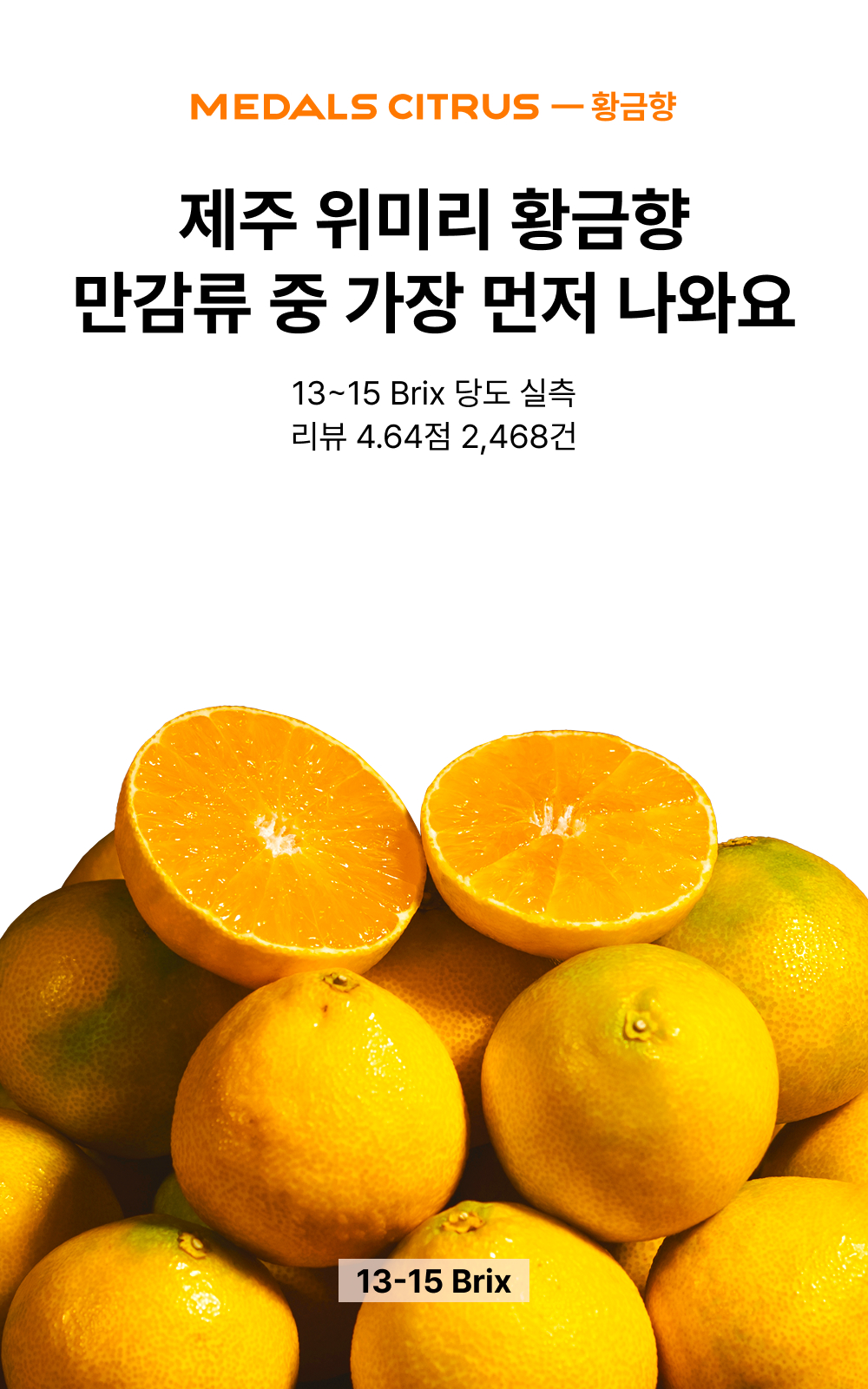 제주 황금향 가정용