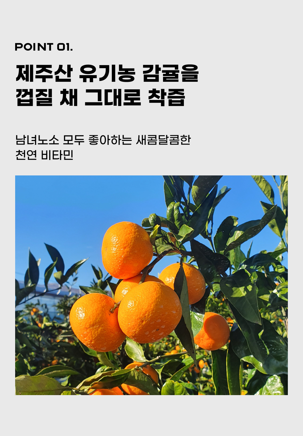 유기농 감귤 주스 150mL