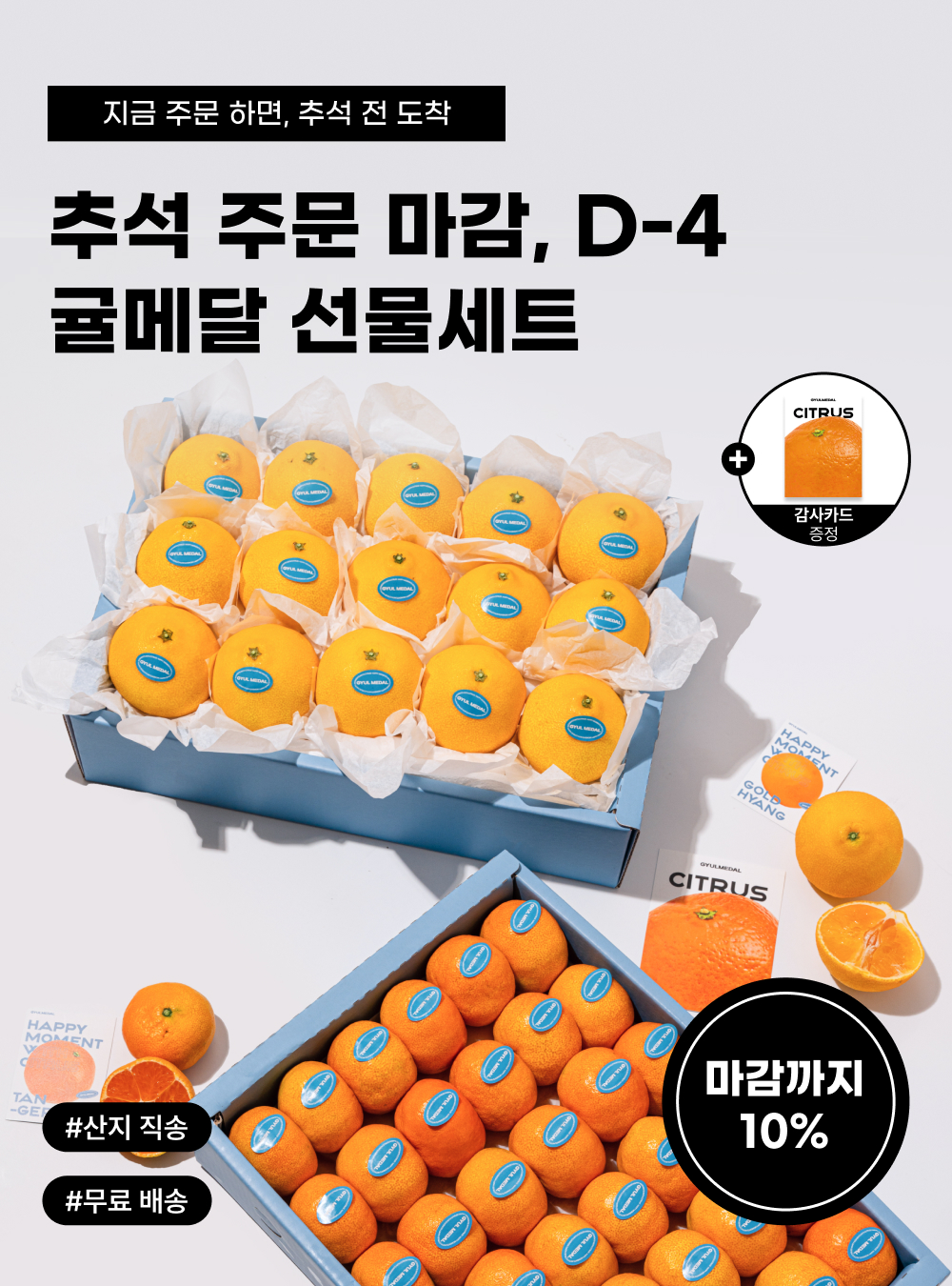 제주 감귤 선물세트