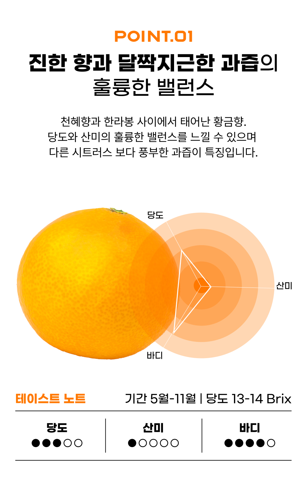 제주 황금향 가정용