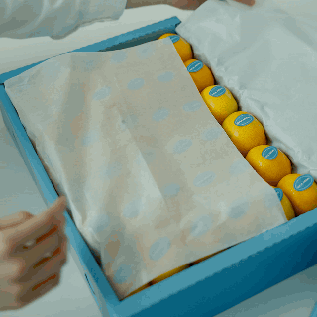 [얼리버드 특가] 제주 감귤 선물세트