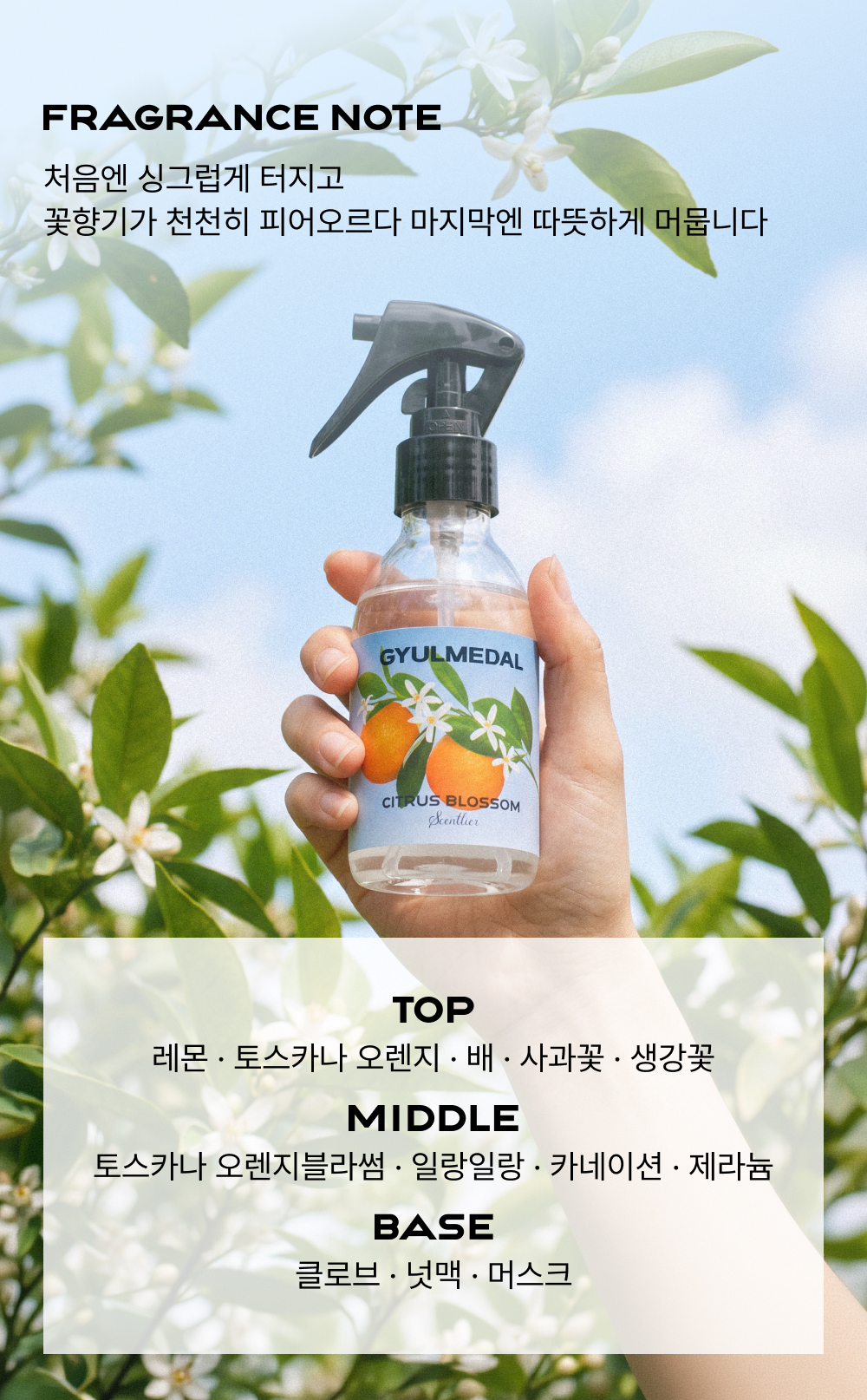 귤메달 X 센틀리에 시트러스 블라썸 기획세트