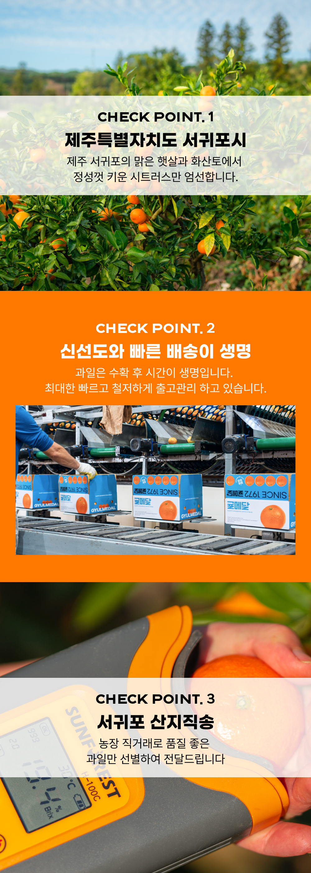 [예약구매] 청귤 가정용
