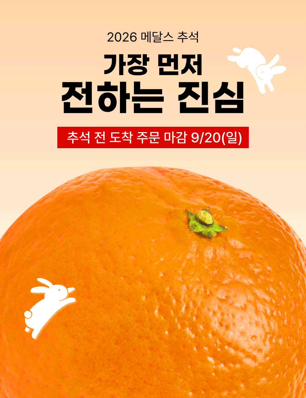 제주 감귤 선물세트