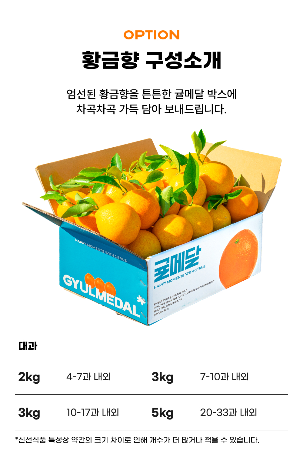 제주 황금향 가정용