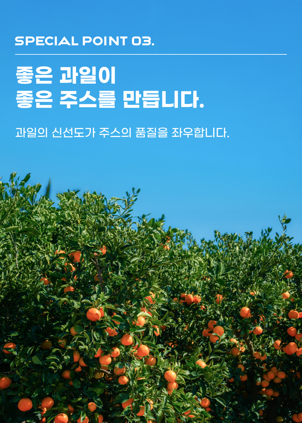 비가열 제주 레몬즙 (500mL)