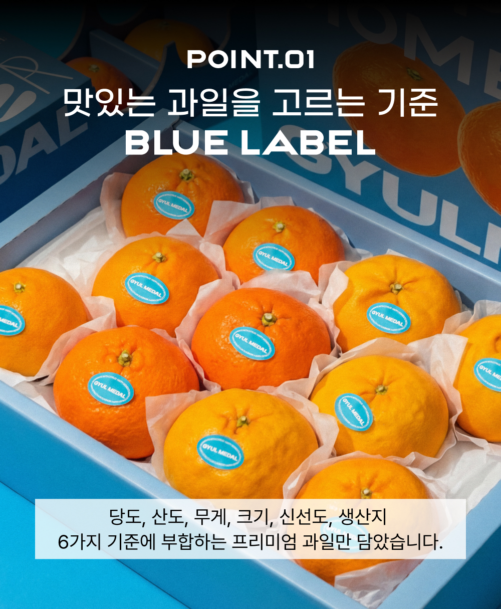 [얼리버드 특가] 황금향 선물세트