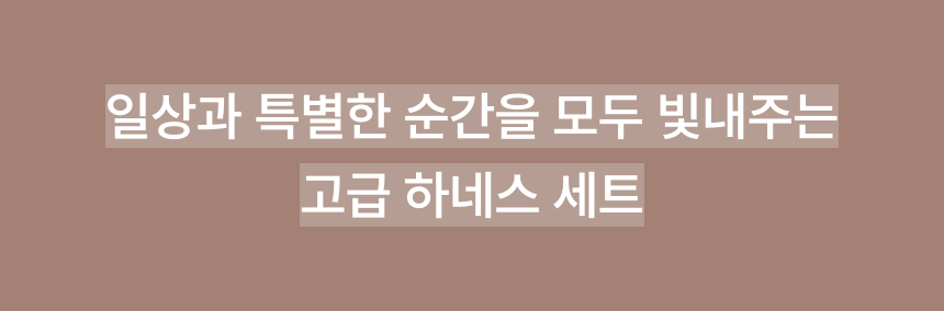 로즈 블랙 트위드 스타일 강아지 하네스 리드줄 세트 마무리 글