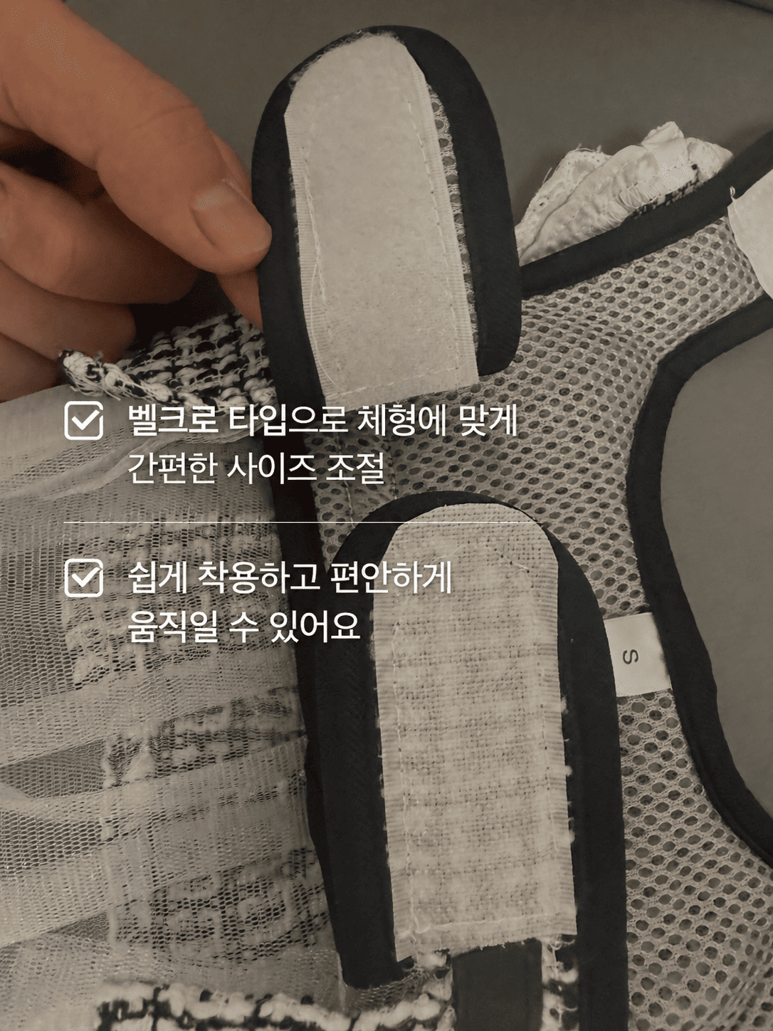 댕댕코디 프리미엄 스타일 선물세트