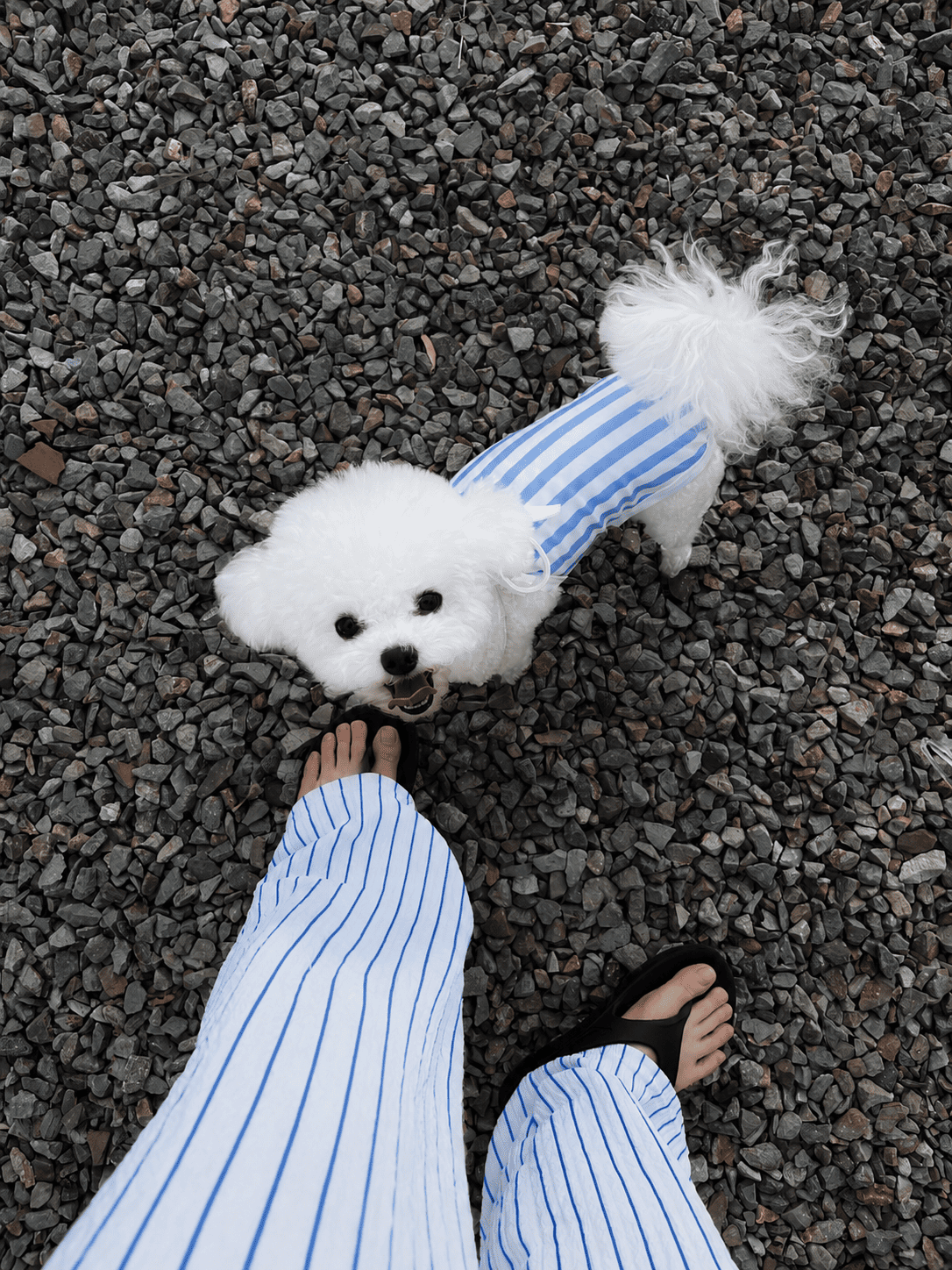 썸머 스트라이프 홀터 나시