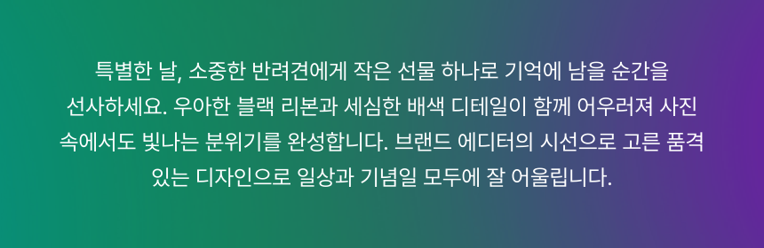 러블리 블랙 리본 강아지 원피스 마무리 글