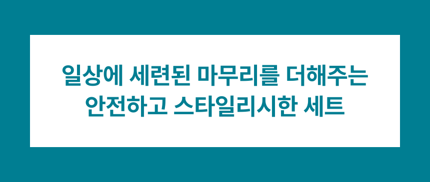 시그니처 패턴 강아지 하네스 리드줄 세트 마무리 글