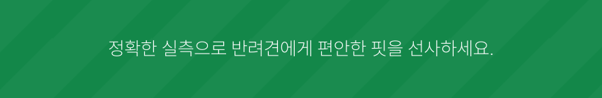 댕댕코디 슬림핏 민소매 내복 티셔츠 상품 설명 마무리 글