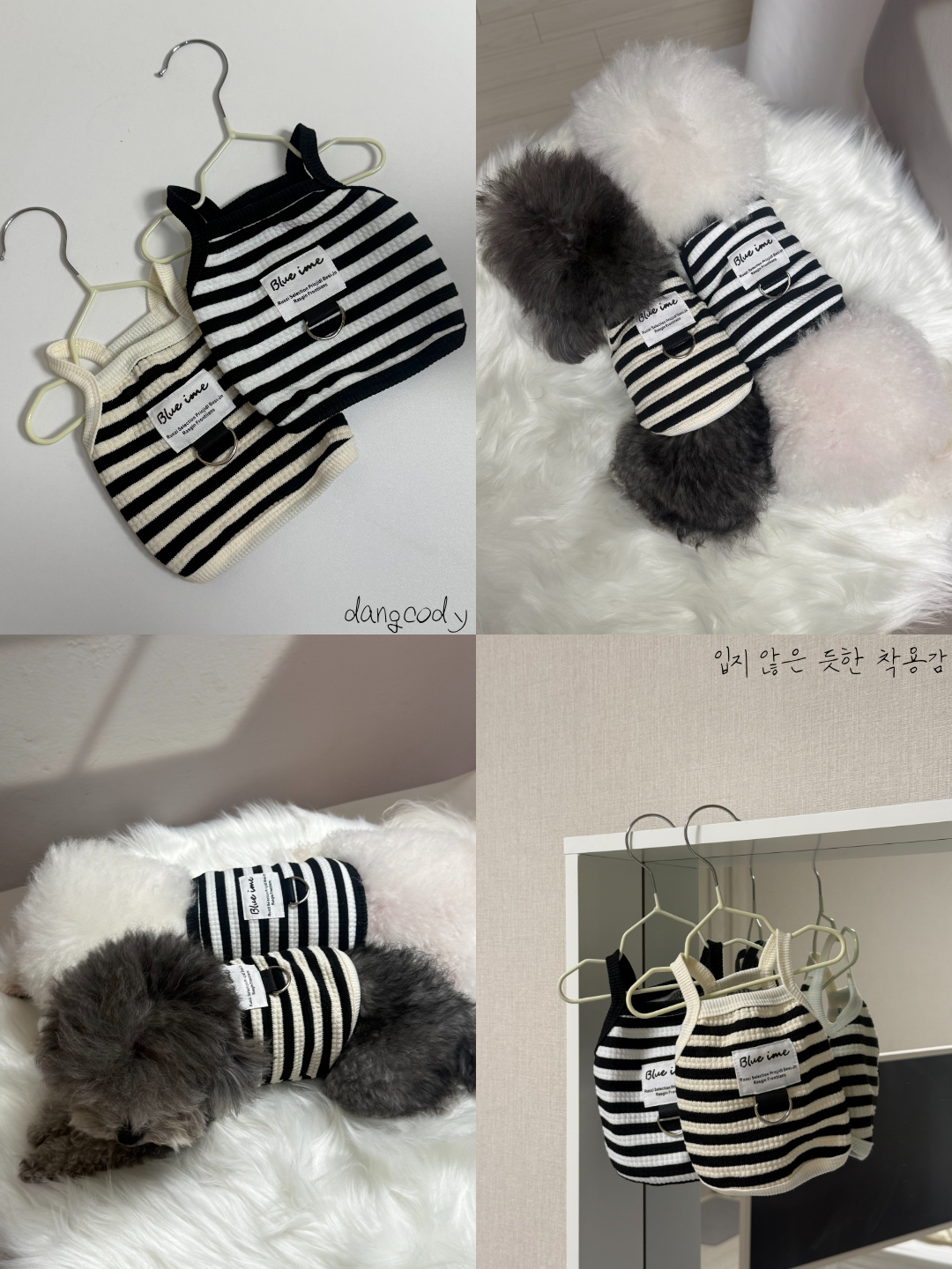 댕댕코디 프리미엄 스타일 선물세트