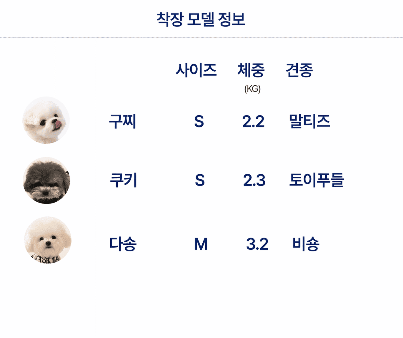 댕댕코디 상품 모델 사이즈표 안내