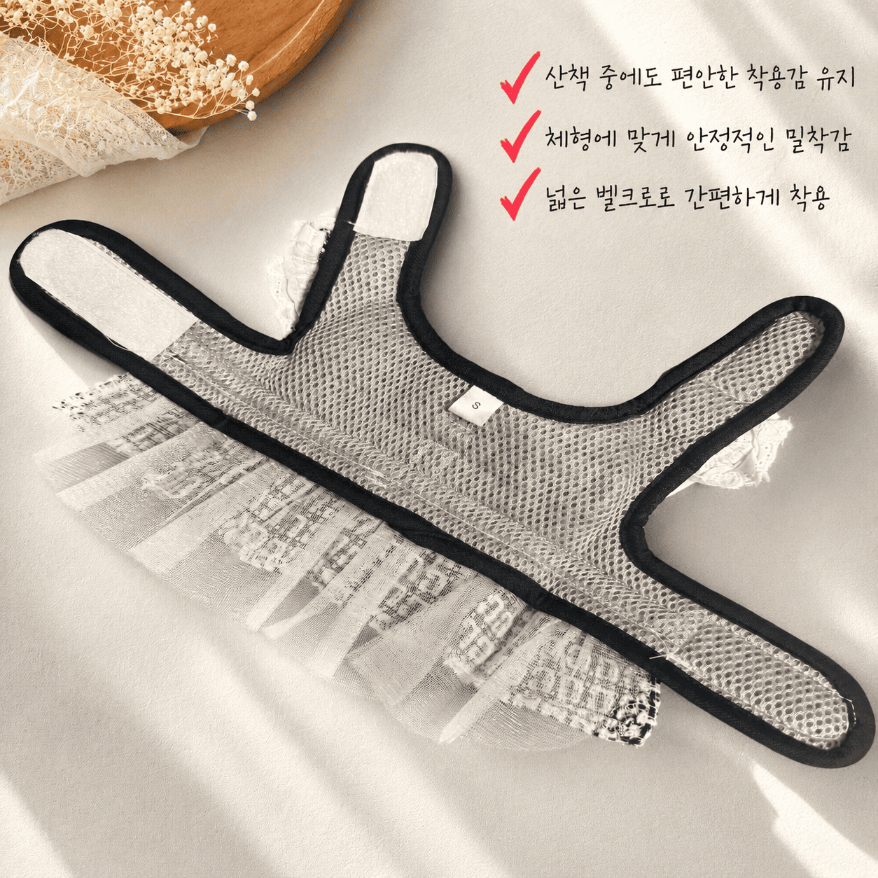 댕댕코디 프리미엄 스타일 선물세트