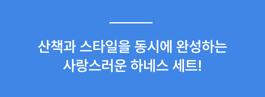 댕댕코디 리본 도트 하네스 세트 상품 설명 마무리 안내