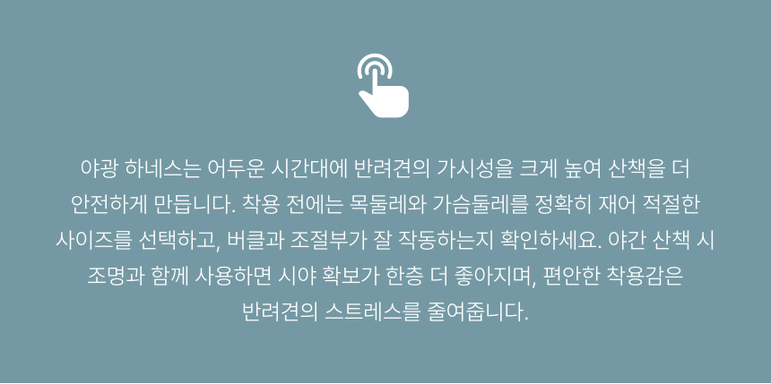 댕댕코디 야광 강아지 하네스 상품 설명 마무리 글
