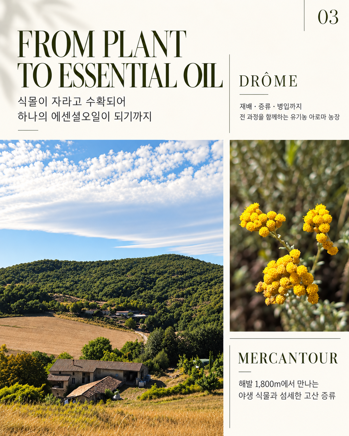 프랑스 아로마 필드 연수 특별강의