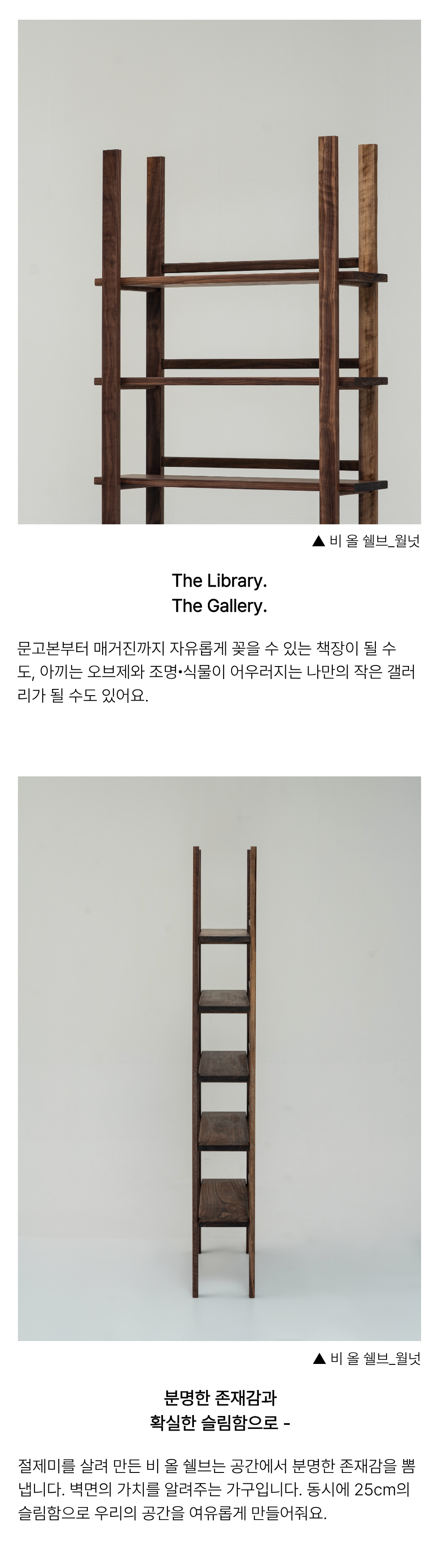 비 올 쉘브
