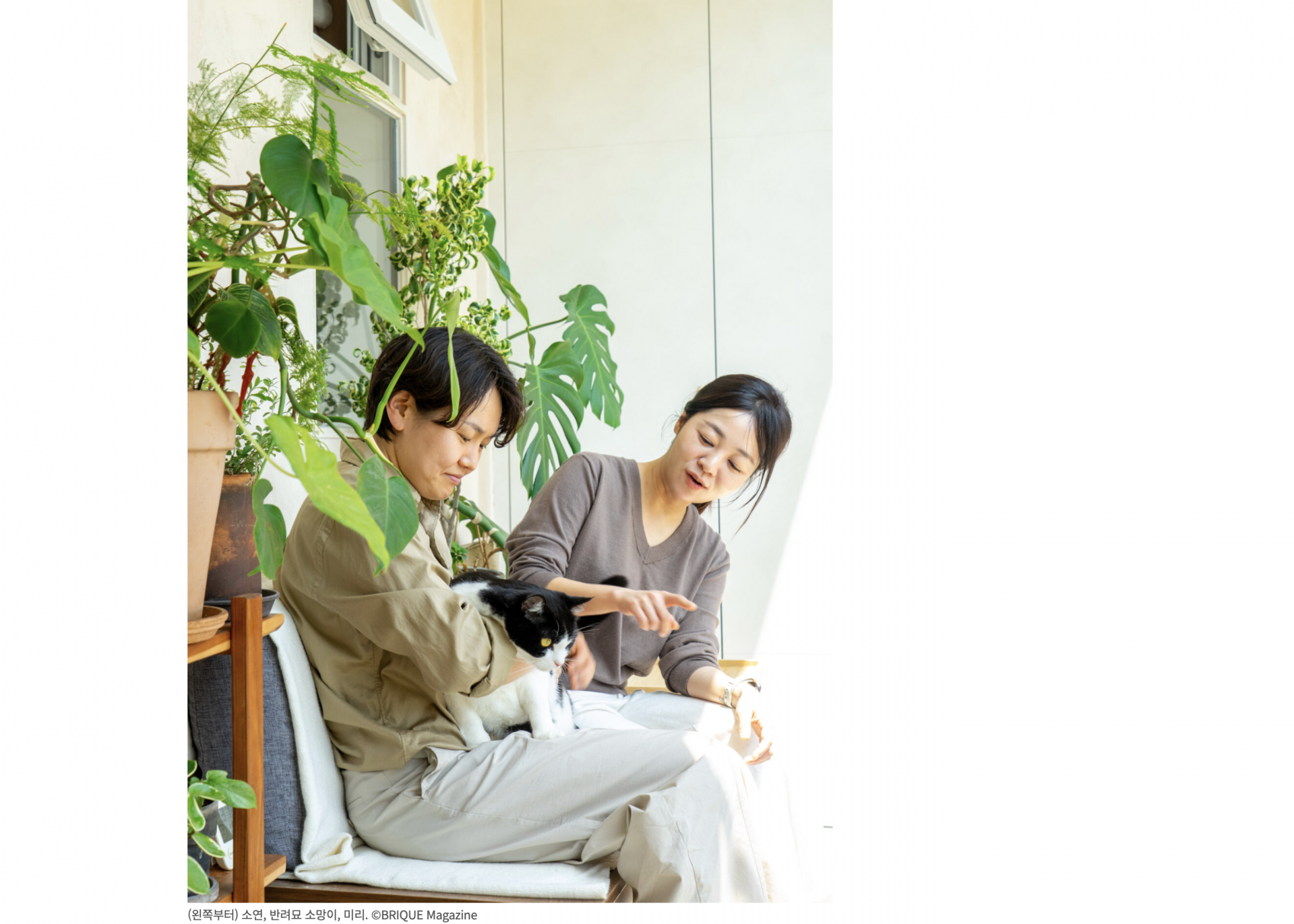 c401be201d04f.png