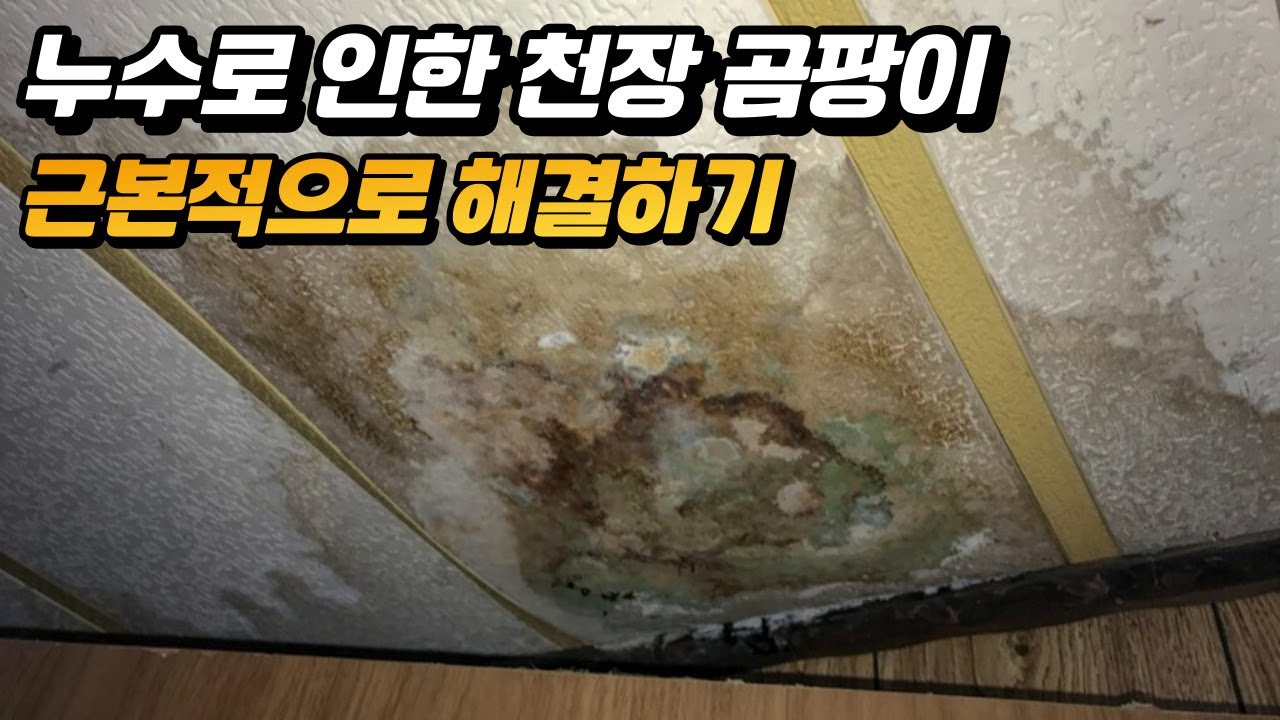 전남 광주 시공사례 2