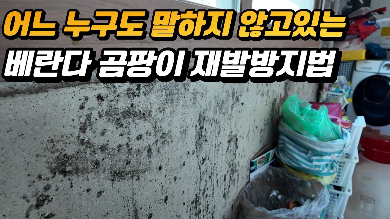 제주도 시공사례 5