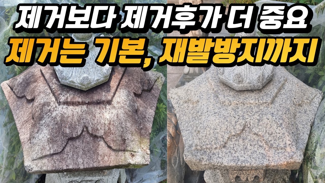 석재 이끼 제거 시공사례 1