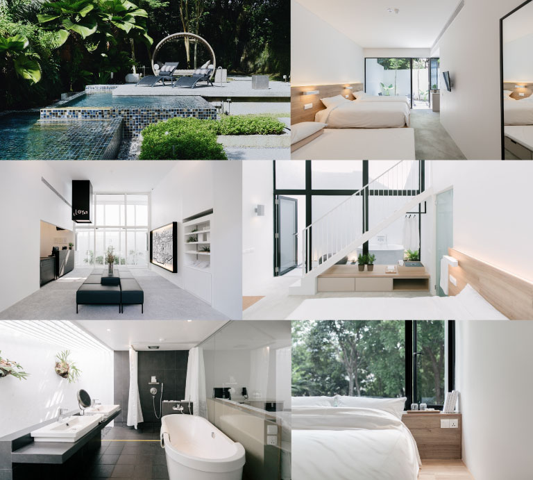 디스이스케이프 로이드인 싱가포르 콜라보레이션 8