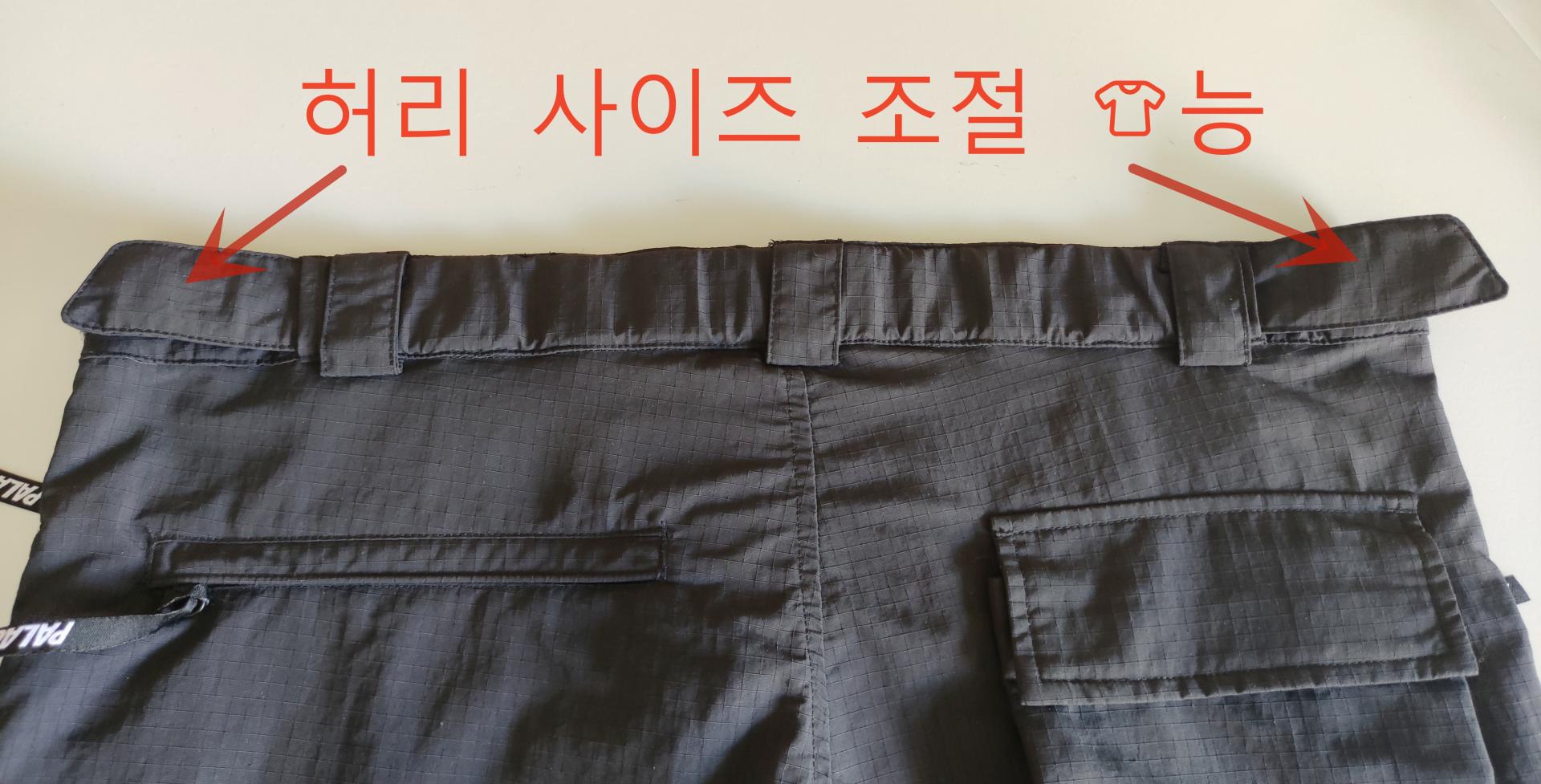 팔라스 코듀라 레플