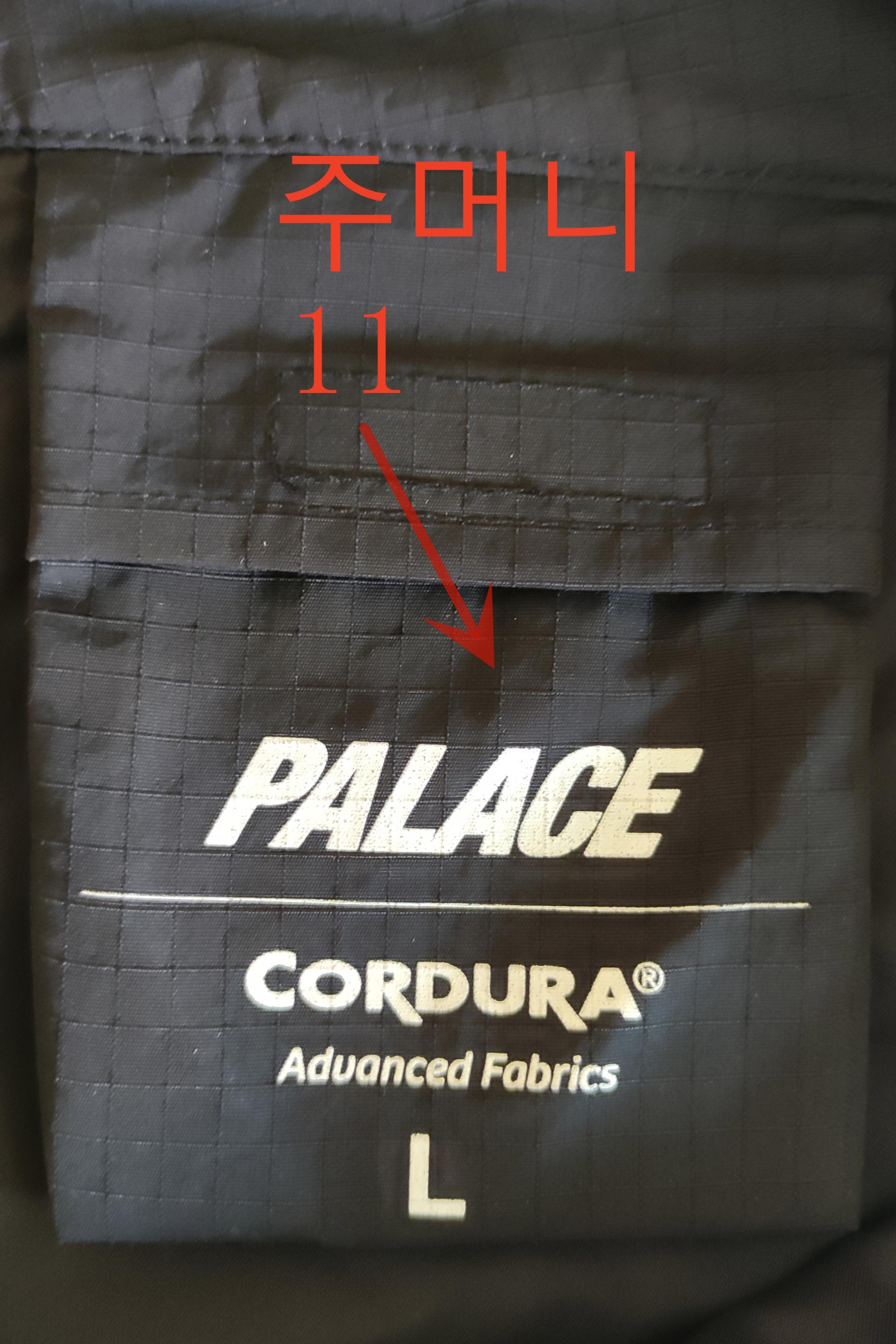 팔라스 코듀라 레플