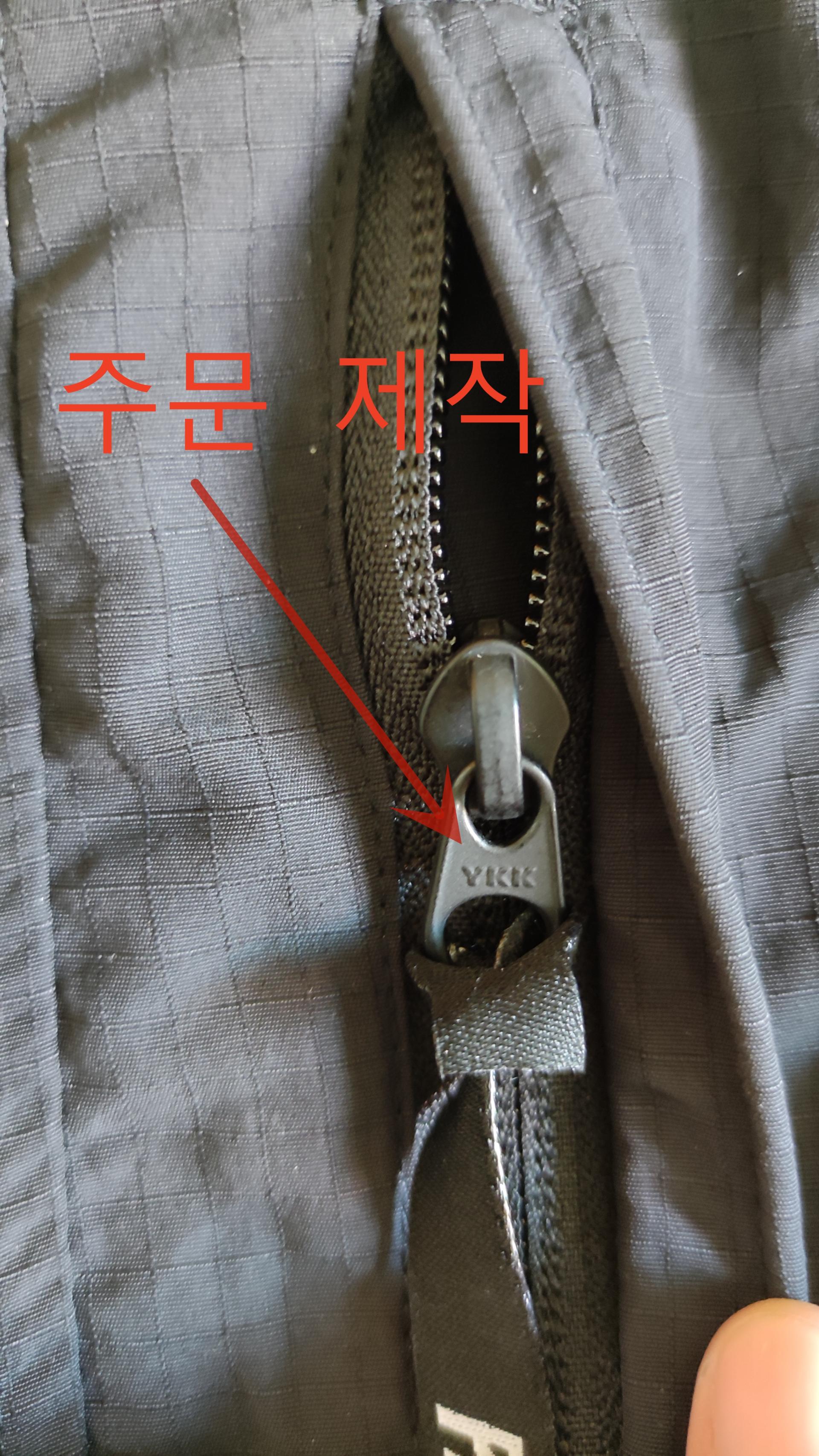 팔라스 코듀라 레플