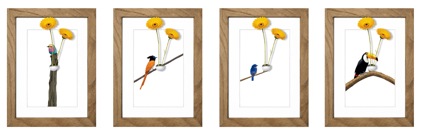 Frame Vase - Morning Song