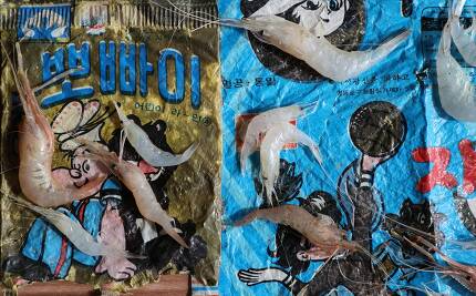 지난 11일 인천광역시 강화군 하점면 창우포구앞 바다에서 건져올린 그물에 40여 년 전에 버린 과자봉지 등이 담겨 있다. 강화/김봉규 선임기자 bong9@hani.co.kr