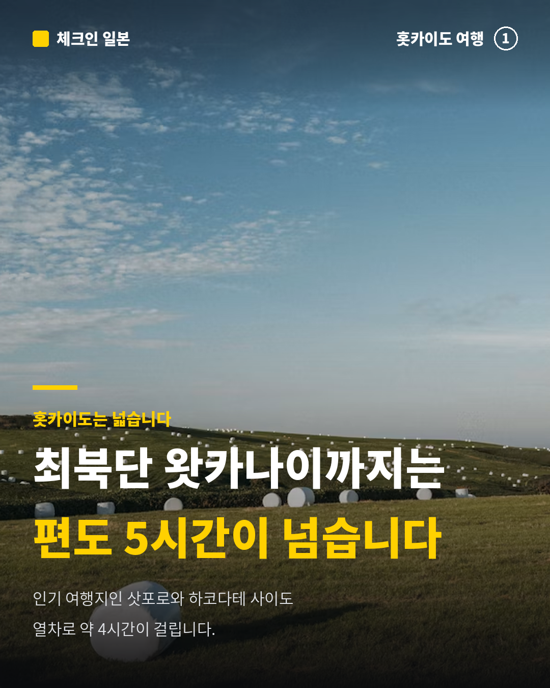 07ac1d8712507.png