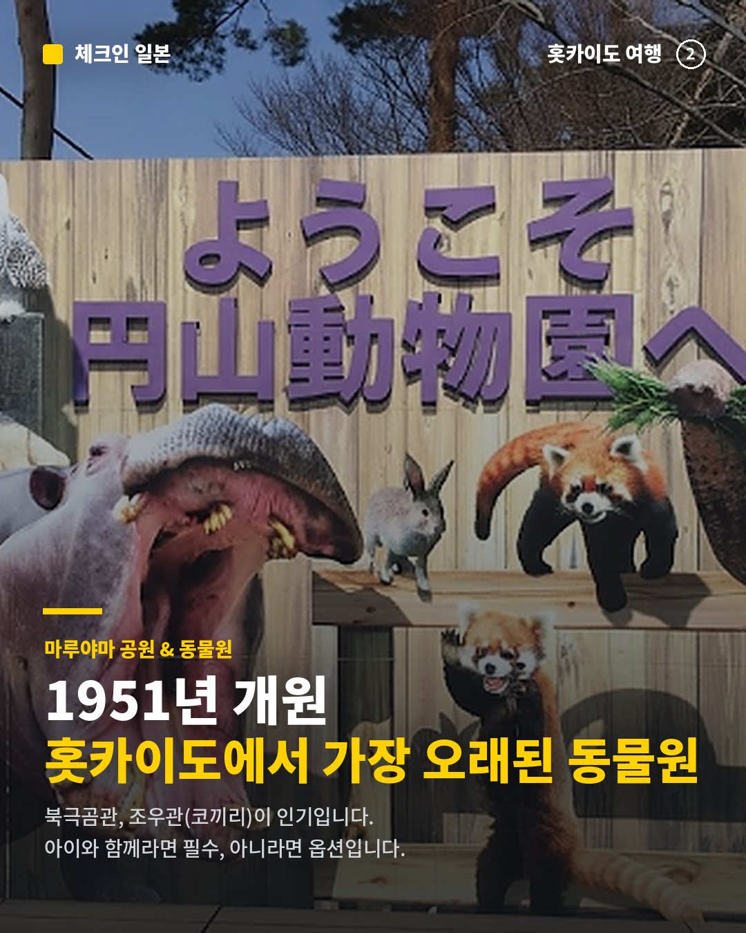 122eb82949c35.png