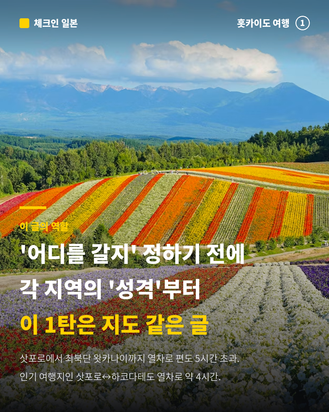 14583a14f1f63.png