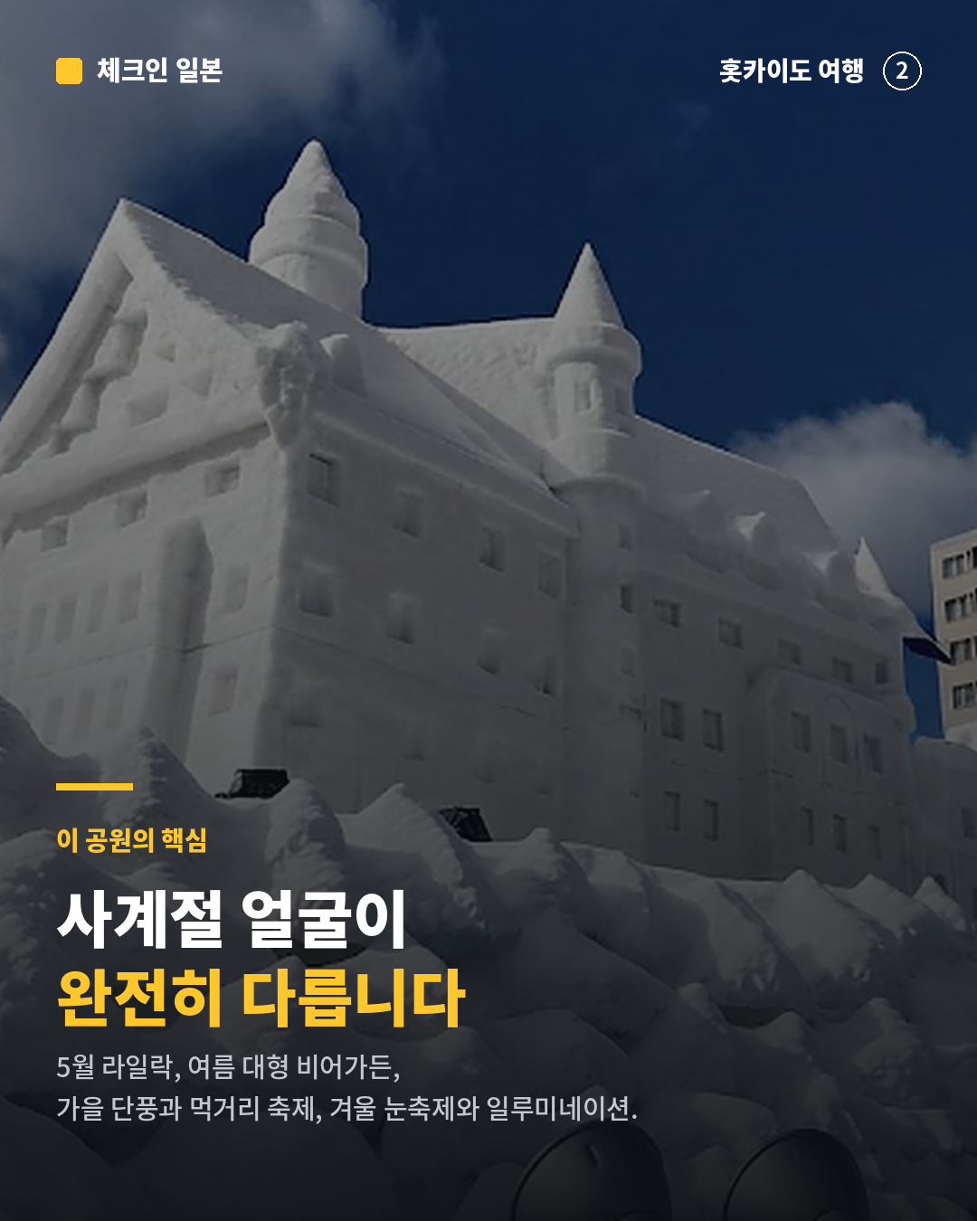 1c1ed1a64910b.png