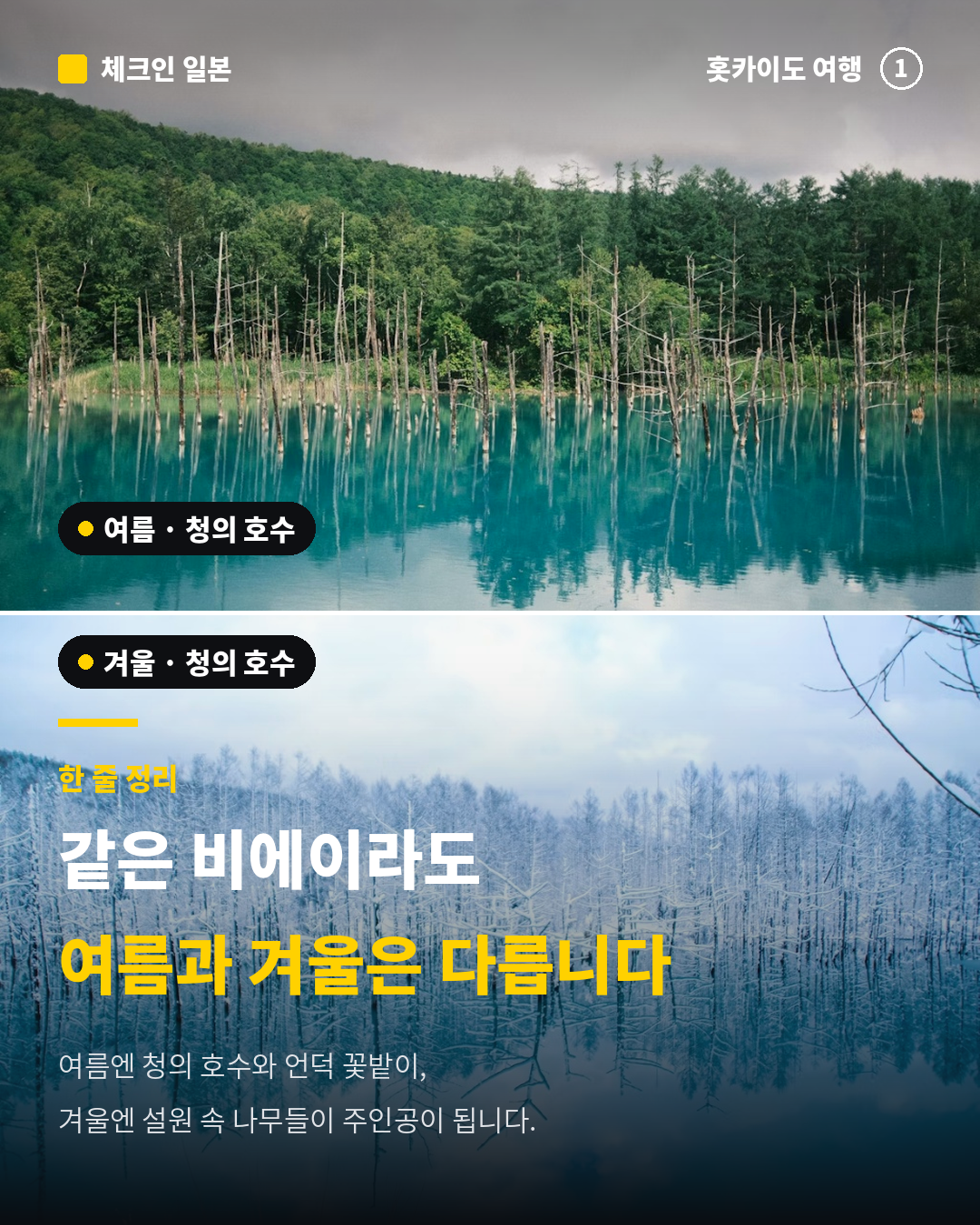 366eb0438be5c.png