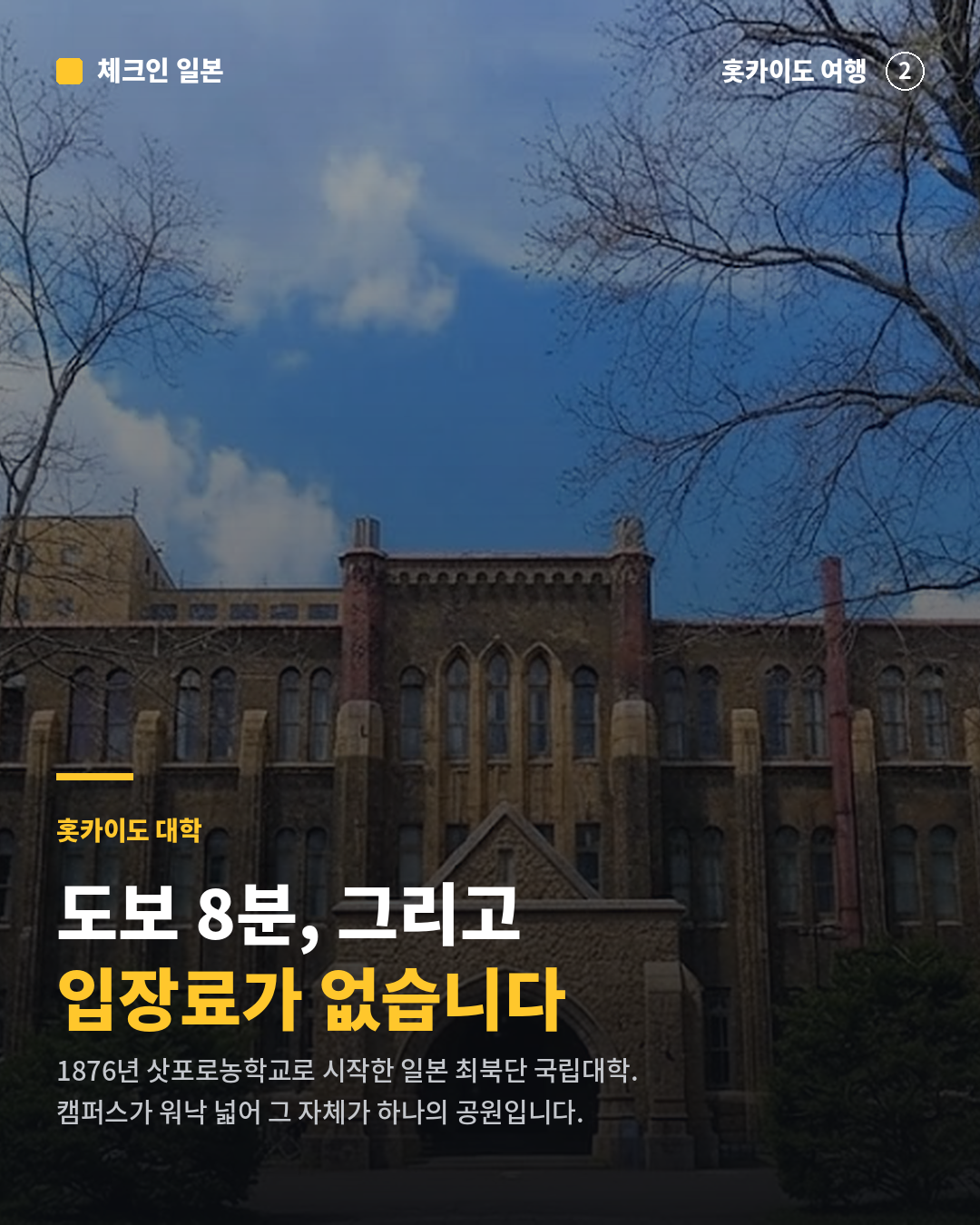 38e844f5ab951.png