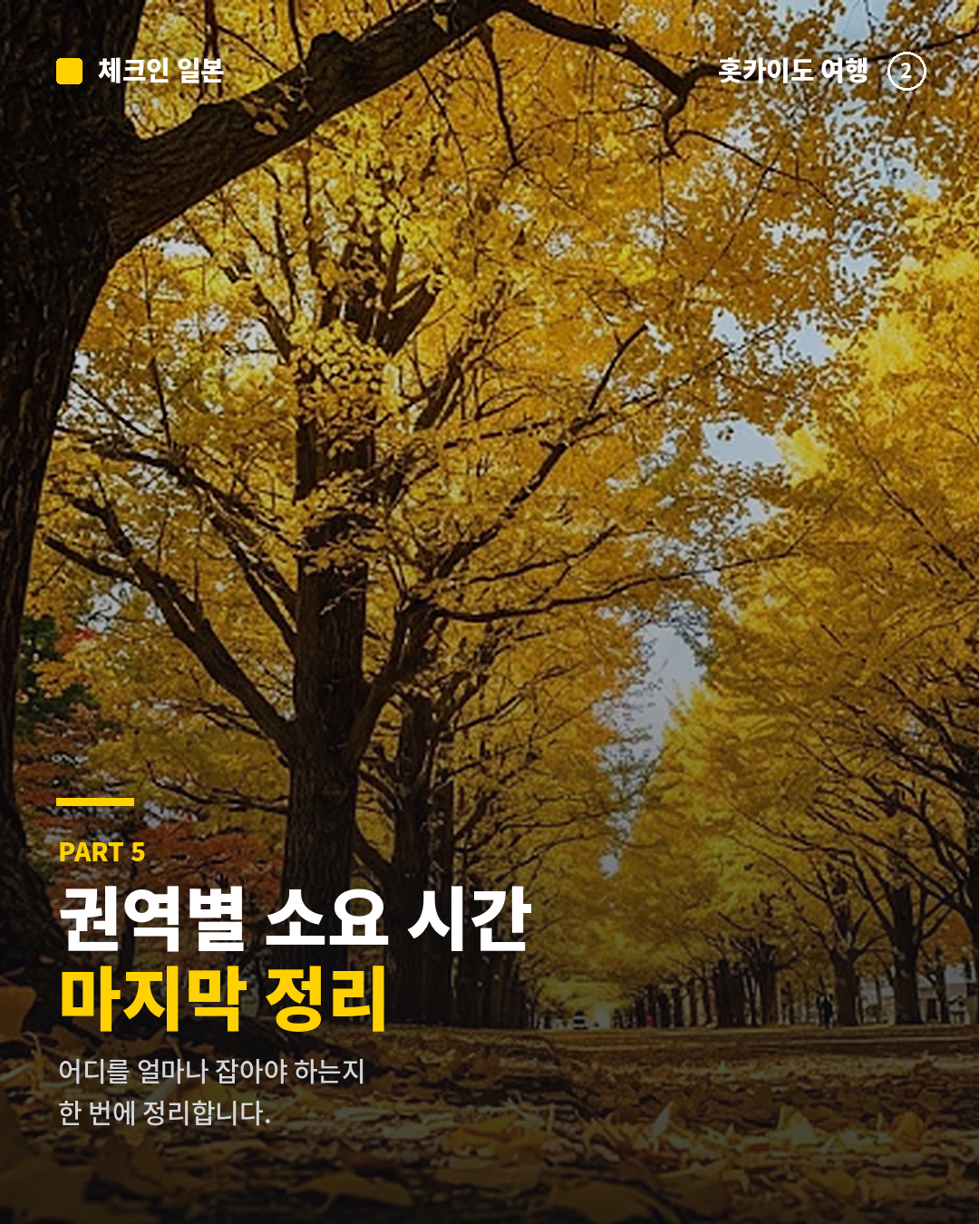 613fe446445a6.png