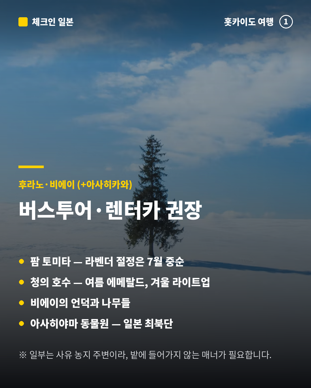 65d9116c64130.png