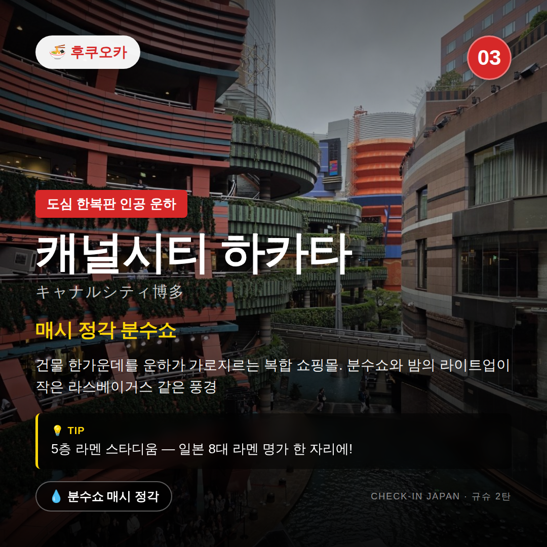 6931f70463a75.png