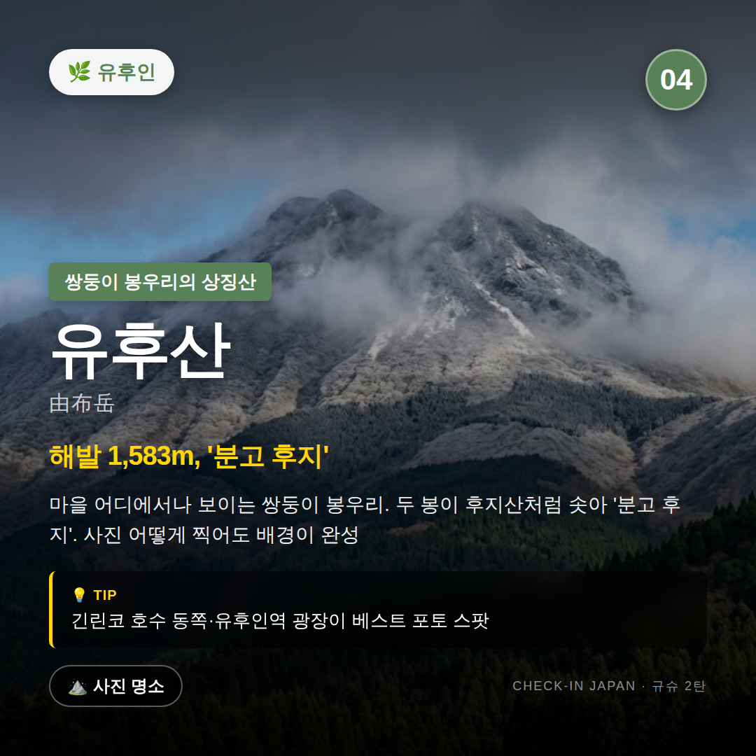 7cf8530b1115a.png