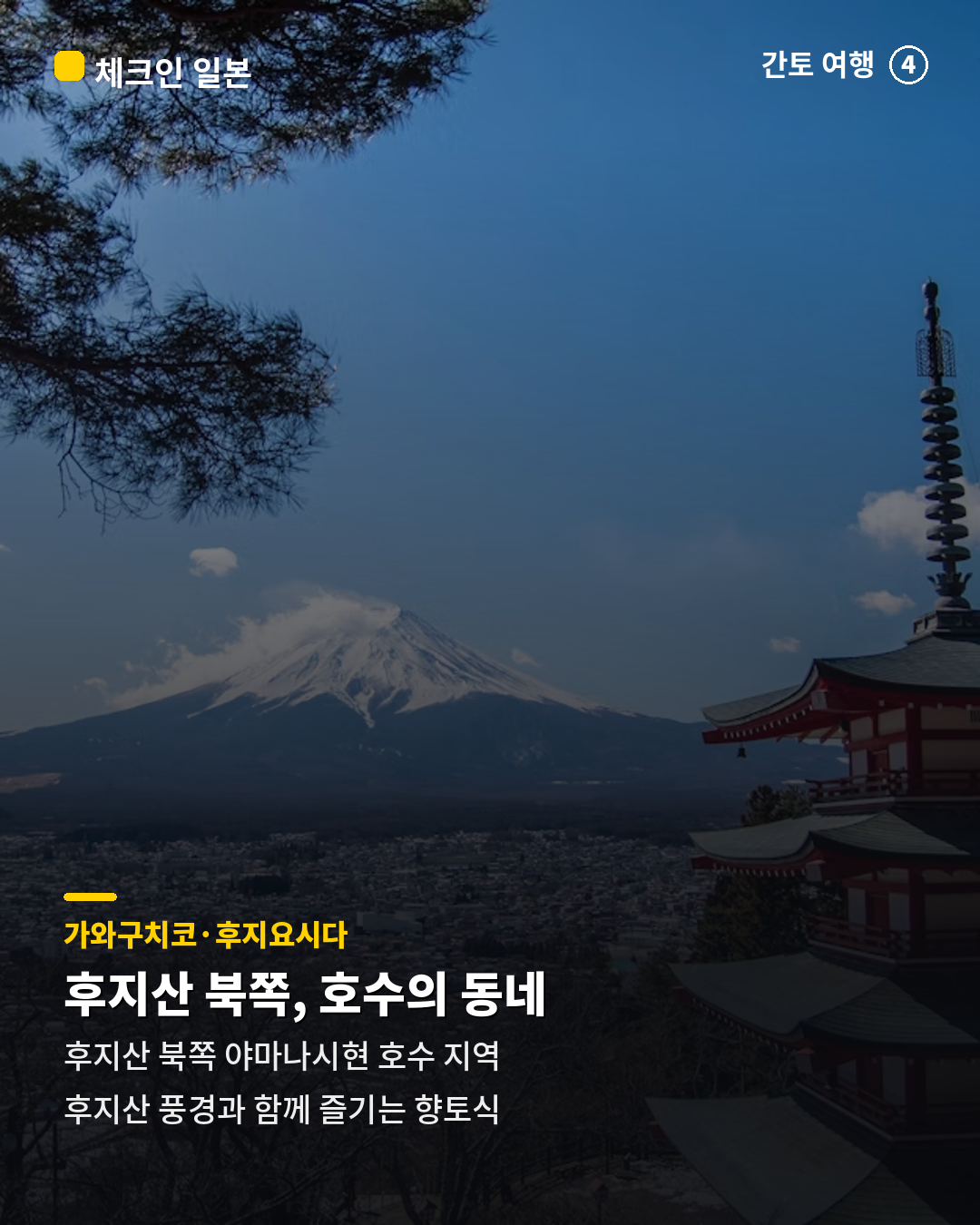 8754afd40d225.png