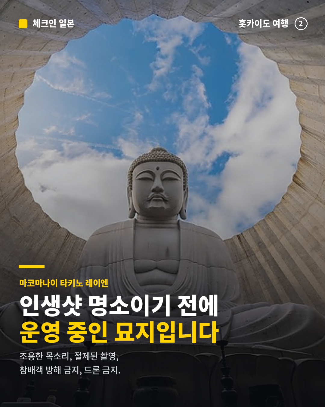 9d183136ef24e.png