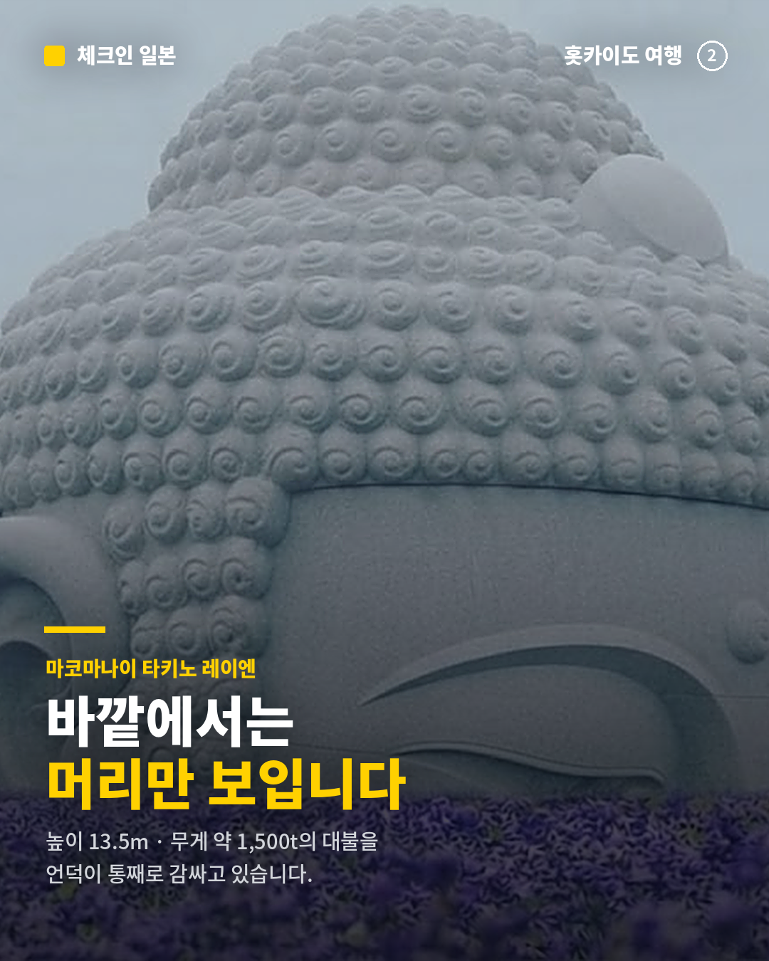 9e6bcc565465c.png
