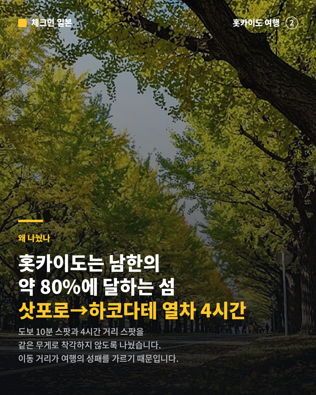 a8e4b9e77fc89.png