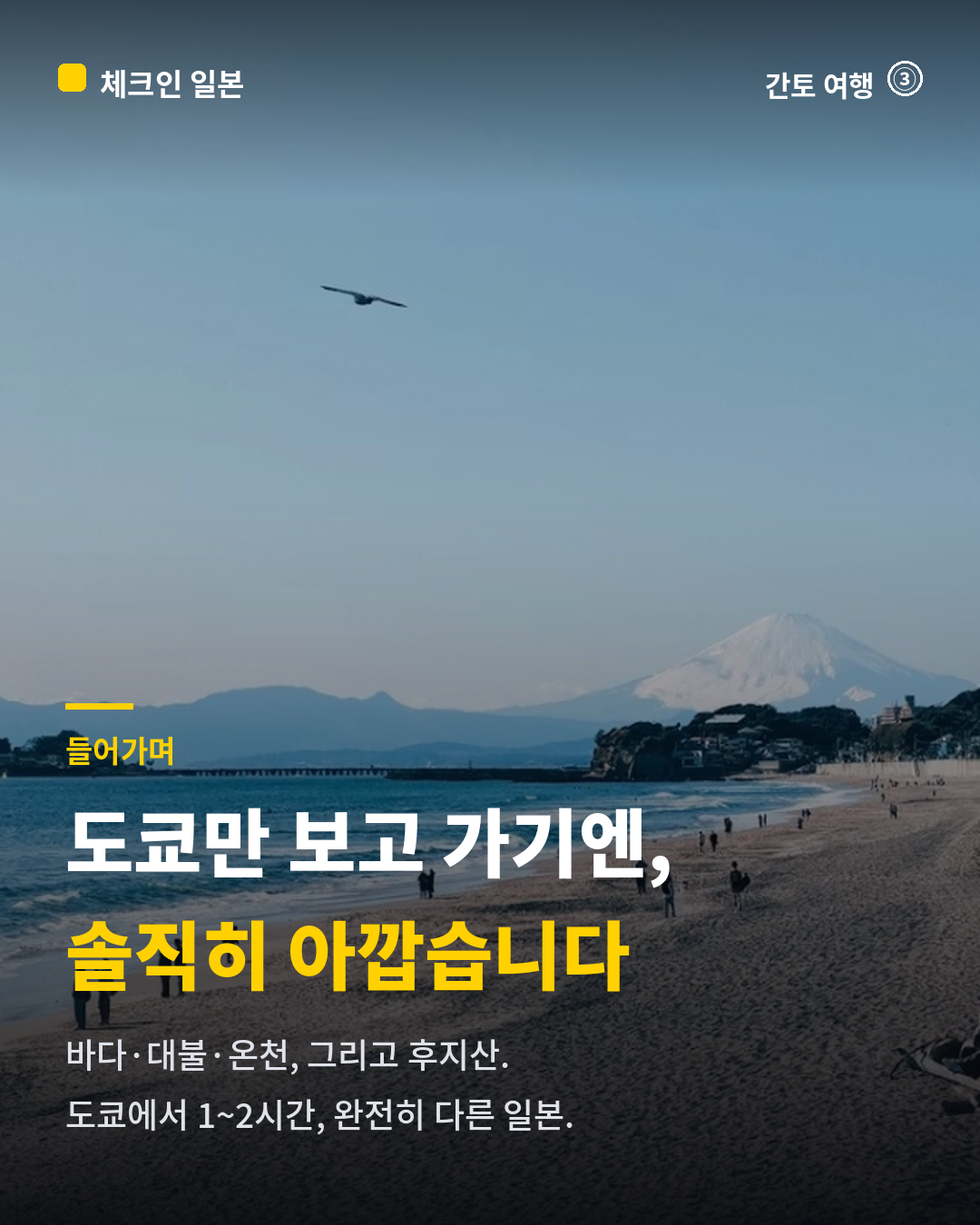 b7b89de362269.png